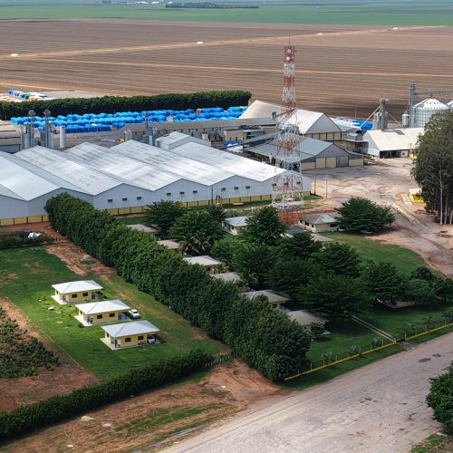 Sementes Eliane celebra 20 anos de história contribuindo para o desenvolvimento do agronegócio