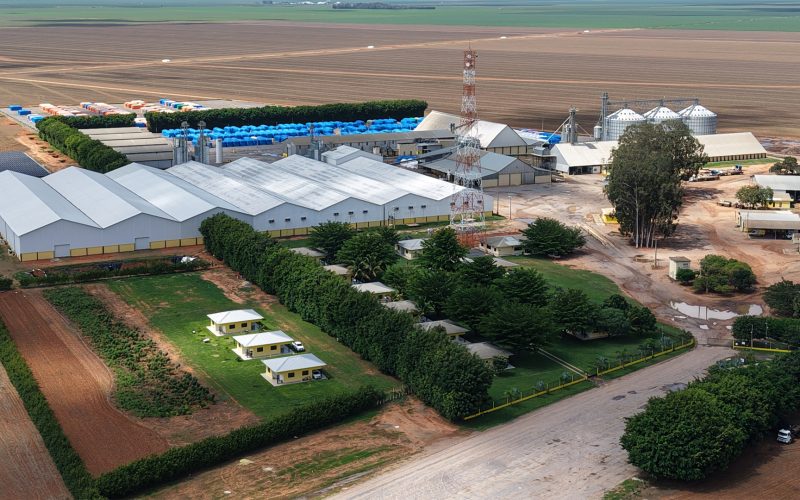 Sementes Eliane celebra 20 anos de história contribuindo para o desenvolvimento do agronegócio