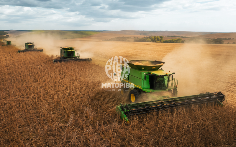 Tempo seco favorece colheita no MATOPIBA, mas baixa umidade exige atenção dos produtores