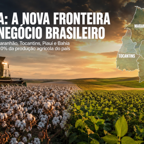 SPARTA Marketing anuncia novo posicionamento e se apresenta como a primeira Assessoria de Crescimento Empresarial do MATOPIBA