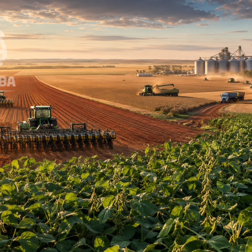 MATOPIBA deve concentrar parte da expansão da soja enquanto Brasil mira safra de 186 milhões de toneladas