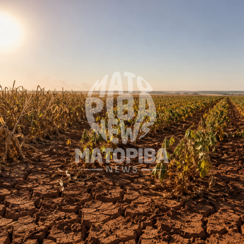 MATOPIBA enfrenta calor de até 39°C e déficit hídrico acende alerta para o campo