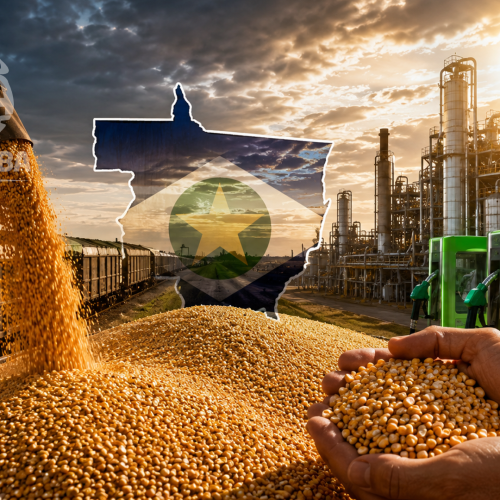 Mato Grosso deve consumir mais milho do que exportar pela primeira vez, puxado pelo avanço do etanol