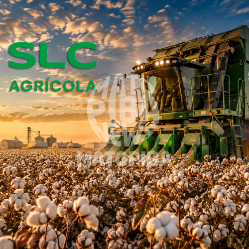 SLC Agrícola bate recorde de receita com R$ 2,2 bilhões e lucro dispara 75% no segundo trimestre