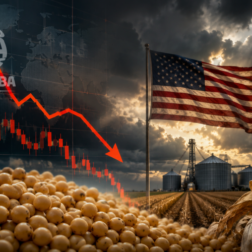 Safra dos EUA piora e acende novo alerta no mercado mundial de soja e milho