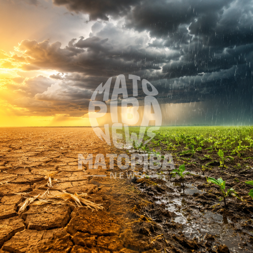 Setembro pode trazer chuva acima da média a partes do MATOPIBA, mas calor elevado exige cautela no início do plantio