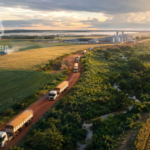 Tocantins deve produzir 6,11 milhões de toneladas de soja e consolida avanço entre as potências agrícolas do MATOPIBA