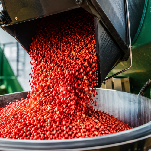 Tratamento de sementes: o primeiro passo para uma lavoura mais produtiva e segura