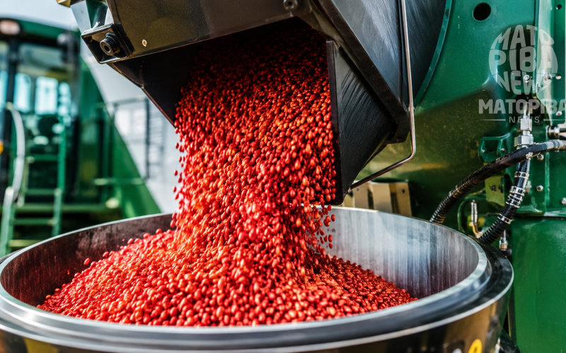 Tratamento de sementes: o primeiro passo para uma lavoura mais produtiva e segura