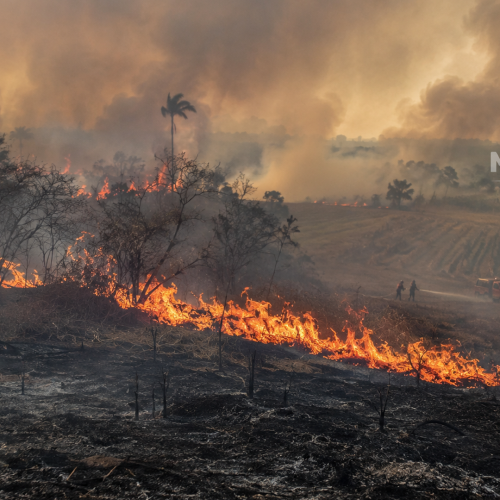 Tocantins, Bahia e Maranhão estão entre os 4 estados com mais focos de incêndio do Brasil em 2026